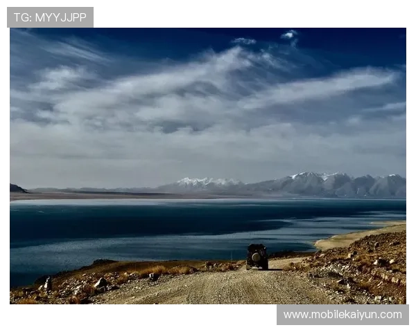 开云网页版意见反馈的重要性及其在提升服务质量中的作用分析