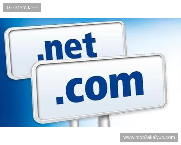 开云体育域名续费注意事项避免域名过期带来的不必要损失