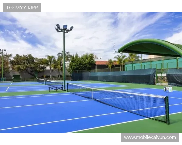 开云体育网球场的场地价格与收费标准，详细解析让你合理安排运动预算