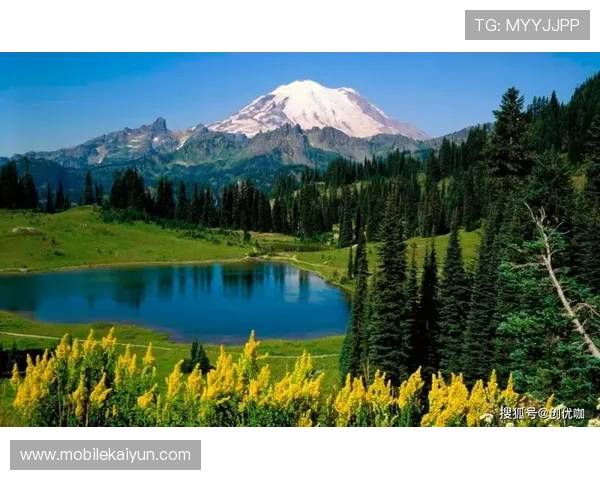 开运在线登录下载app帮助用户提升运势，开启属于你的幸运人生旅程