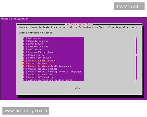 全面解析开云ws安装流程，解决用户在安装过程中遇到的常见问题与疑难杂症