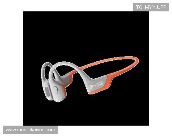 开云kaiyun网页版官网安全登录流程详解，确保玩家账号信息安全与游戏顺畅体验