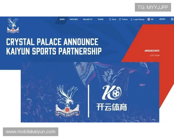 开云体育app入口官网官方入口地址，确保用户安全访问，享受丰富多彩的体育赛事内容