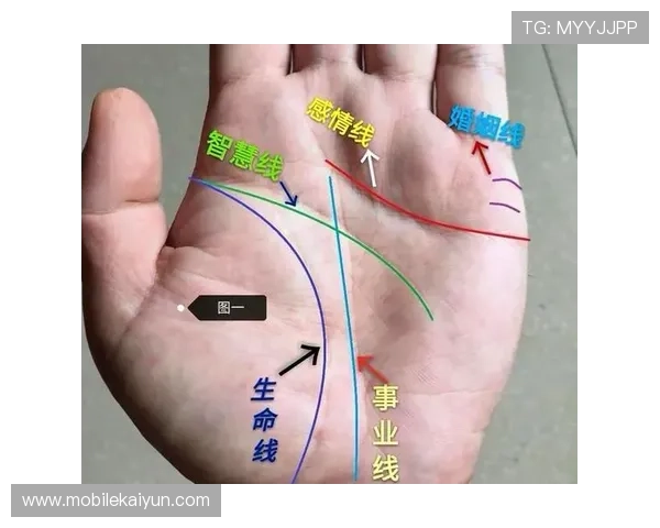 开运线图解详解帮助你轻松掌握命理运势提升技巧